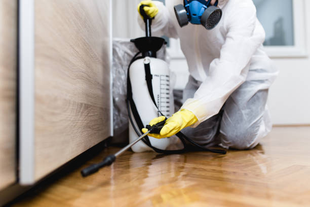 Best Wasp Removal Services  in New Eagle, PA