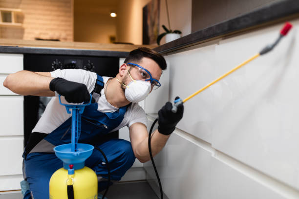 Best Pest Control Near Me  in New Eagle, PA