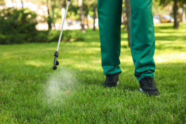 Best Best Pest Control Companies  in New Eagle, PA