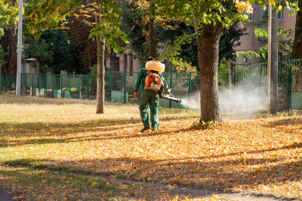 Best Pest Removal Services  in New Eagle, PA