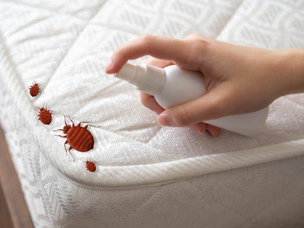 Pest Control Cost in New Eagle, PA