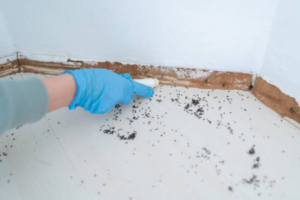 Best Commercial Pest Control Services  in New Eagle, PA